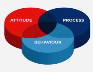 behaviour_and_success